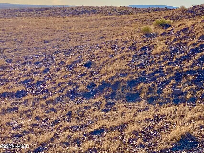Carrizo Carrizo Ranch St. Johns, AZ 85936 - Photo 13 of 29 a view of beach and ocean