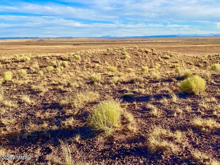 Carrizo Carrizo Ranch St. Johns, AZ 85936 - Photo 14 of 29 a view of an ocean