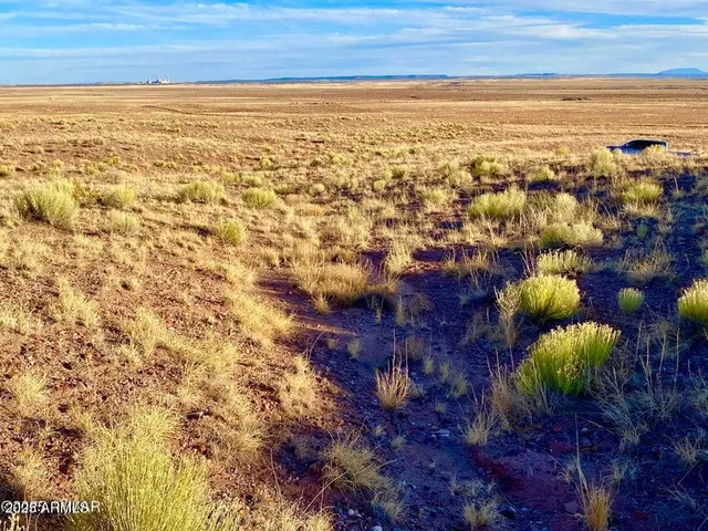 a view of city and ocean