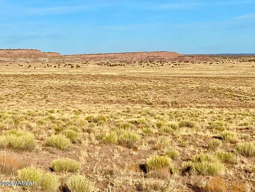 Carrizo Carrizo Ranch St. Johns, AZ 85936 - Photo 18 of 29 a view of ocean view