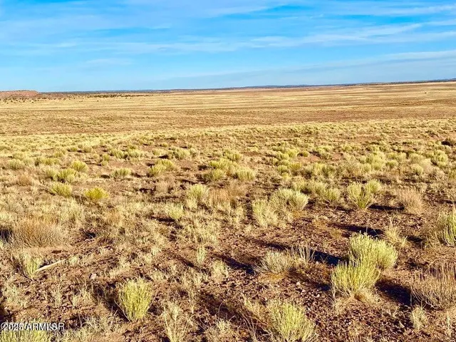 a view of ocean view with two large trees
