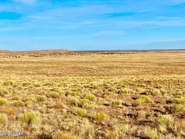 a view of city and ocean