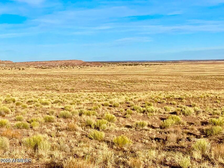 Carrizo Carrizo Ranch St. Johns, AZ 85936 - Photo 21 of 29 a view of an ocean