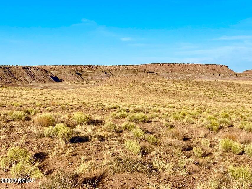 Carrizo Carrizo Ranch St. Johns, AZ 85936 - Photo 22 of 29 a view of ocean view with two large trees