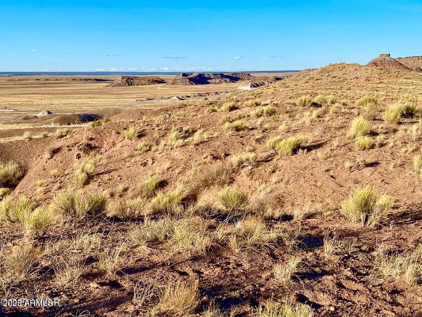 Carrizo Carrizo Ranch St. Johns, AZ 85936 - Photo 26 of 29 a view of a large mountain with mountains in the background
