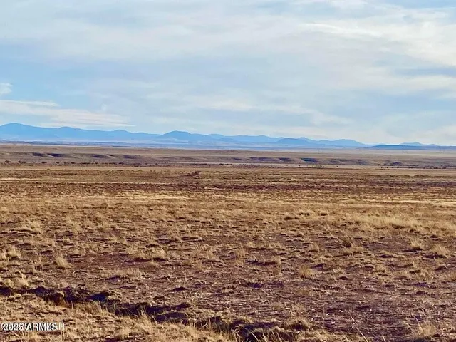 $27,900 | Carrizo Carrizo Ranch, St. Johns, AZ 85936