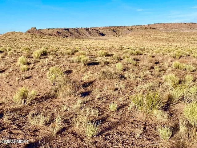 $27,900 | Carrizo Carrizo Ranch, St. Johns, AZ 85936