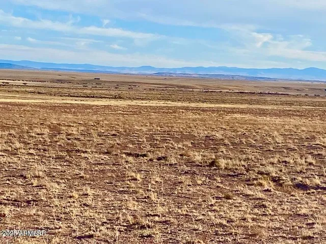 $27,900 | Carrizo Carrizo Ranch, St. Johns, AZ 85936