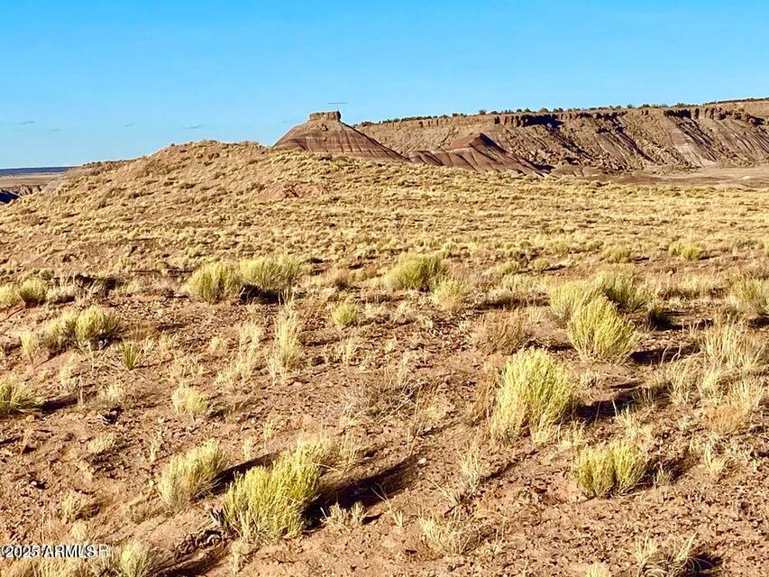 Carrizo Carrizo Ranch St. Johns, AZ 85936 - Photo 3 of 29 a view of a snow on the beach