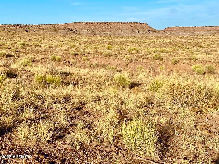 Carrizo Carrizo Ranch St. Johns, AZ 85936 - Photo 6 of 29