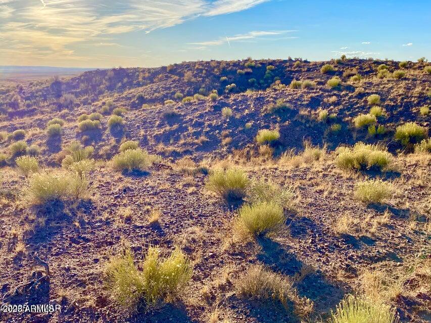 Carrizo Carrizo Ranch St. Johns, AZ 85936 - Photo 7 of 29 a view of a city