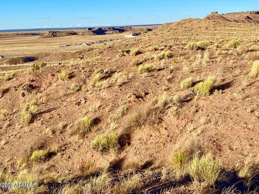 Carrizo Carrizo Ranch St. Johns, AZ 85936 - Photo 9 of 29 a view of a large building with wooden fence