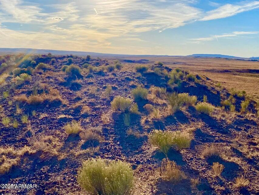 Carrizo Carrizo Ranch St. Johns, AZ 85936 - Photo 10 of 29