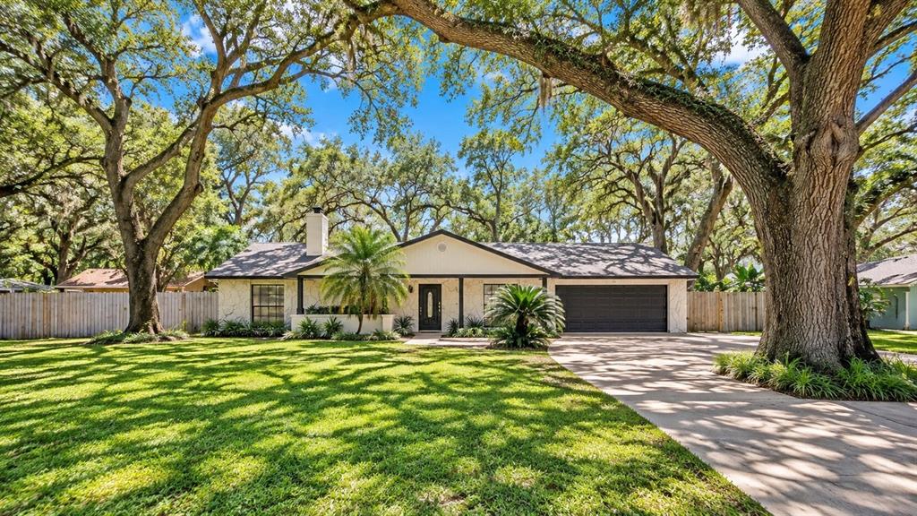 7405 Williams Road Seffner, FL 33584 - Photo 6 of 94 Gallery Image 6