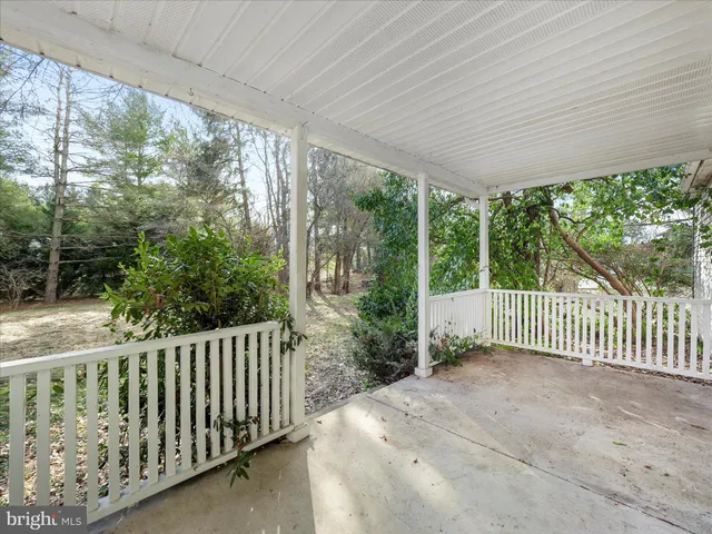a view of a backyard with a large trees