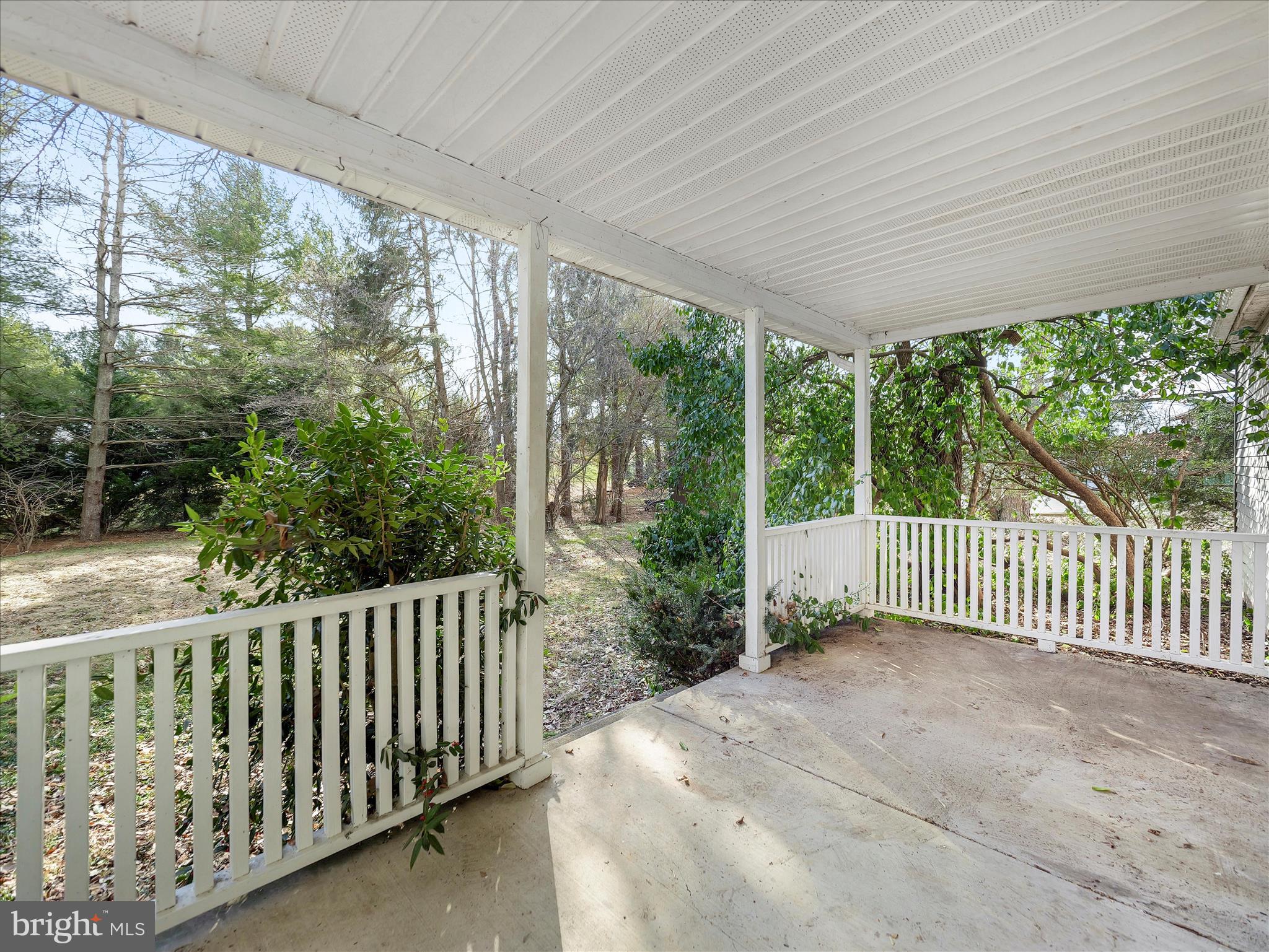 6824 Rice Road Shippensburg, PA 17257 - Photo 30 of 35 a view of a backyard with a large trees