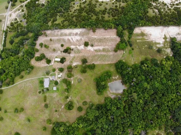 a view of a garden with plants