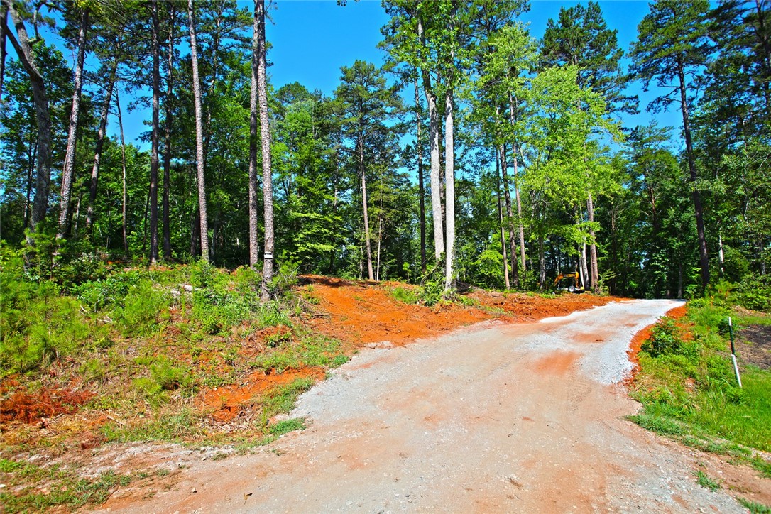 1359 Hbr Rdg Road Seneca, SC 29672 - Photo 18 of 39 A winding gravel road guides through verdant woodlands, revealing a tranquil setting for a future homestead.