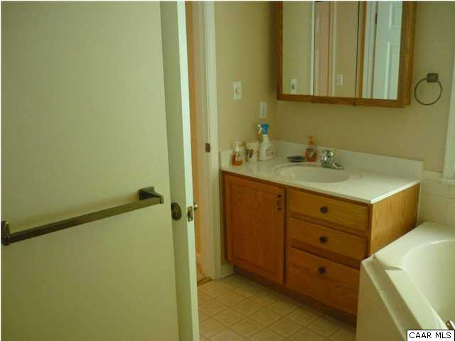 49 Hardwood Road Palmyra, VA 22963 - Photo 30 of 41 .. and separate vanities as well
