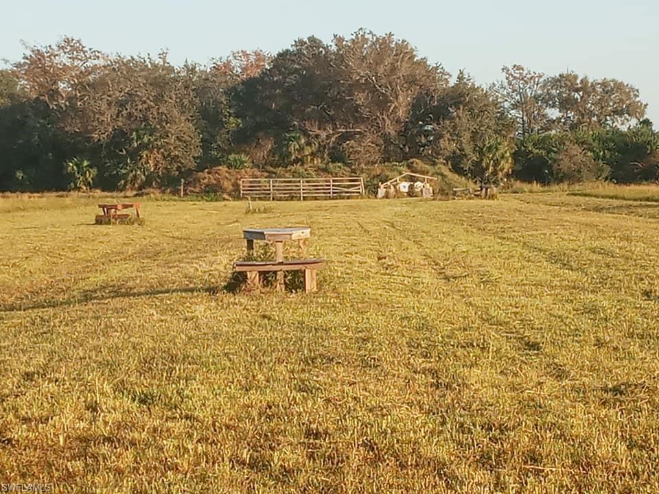 46310 Neal Road Punta Gorda, FL 33982 - Photo 13 of 18 46310 Neal Rd, view of wooded back side of property