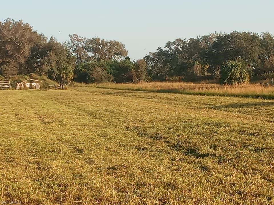 46310 Neal Road Punta Gorda, FL 33982 - Photo 15 of 18 46310 Neal Rd open view of property