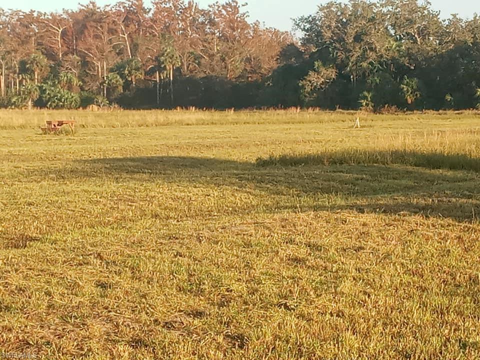 46310 Neal Road Punta Gorda, FL 33982 - Photo 18 of 18 Open view of 46310 Neal Rd with woods on back boundry