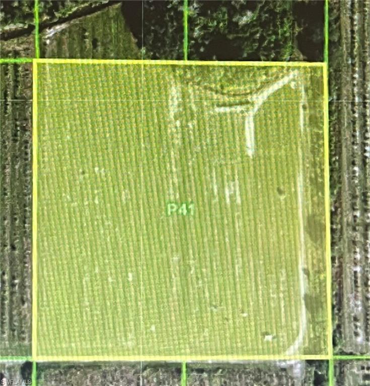 46310 Neal Road Punta Gorda, FL 33982 - Photo 2 of 18 46310 Neal Road overvies, before building pad and shed