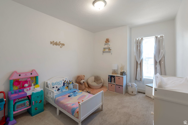 8254 Cascade Vw Way Magna, UT 84044 - Photo 8 of 14