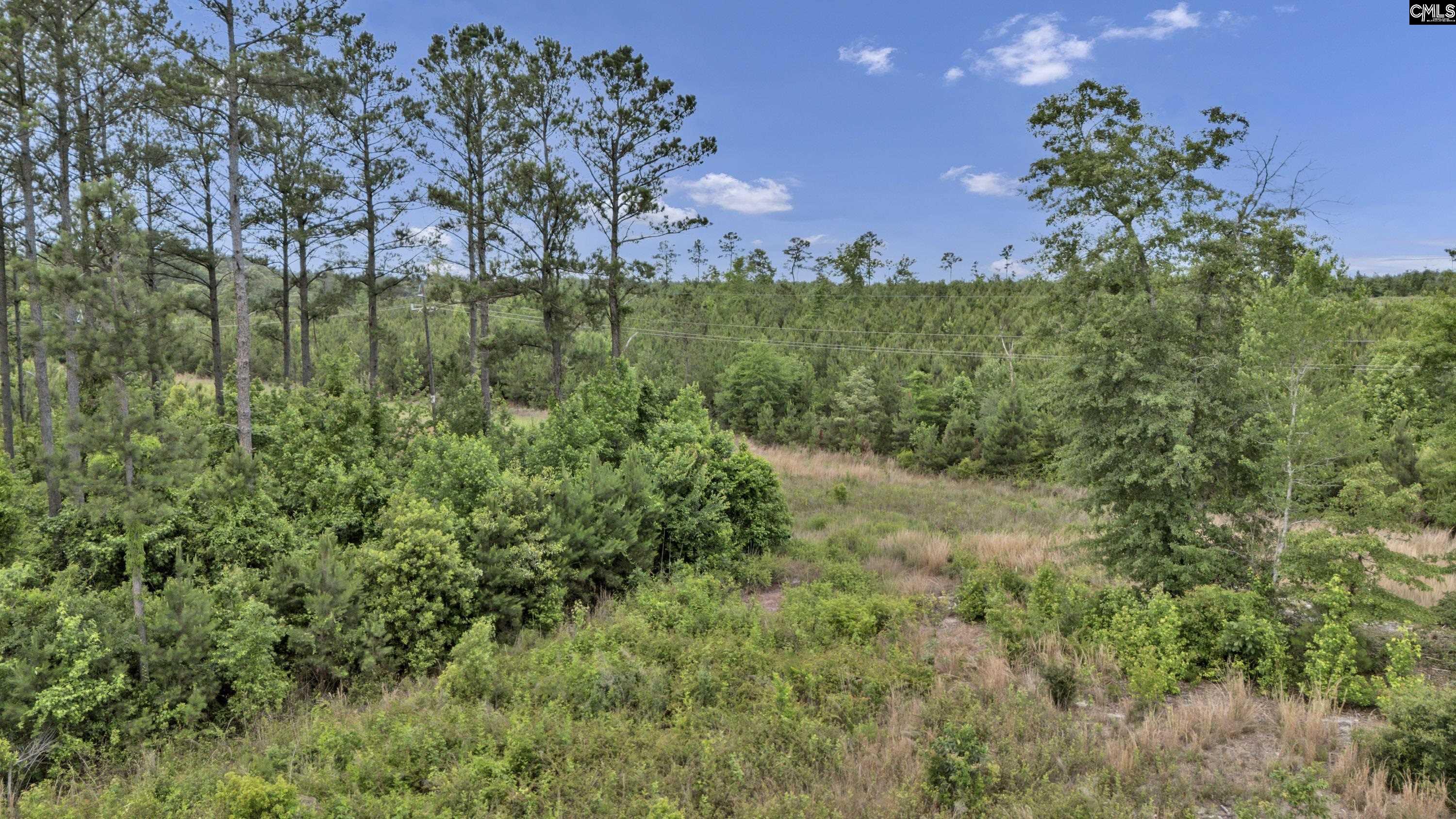 Na Bull Swamp Road North, SC 29112 - Photo 10 of 28