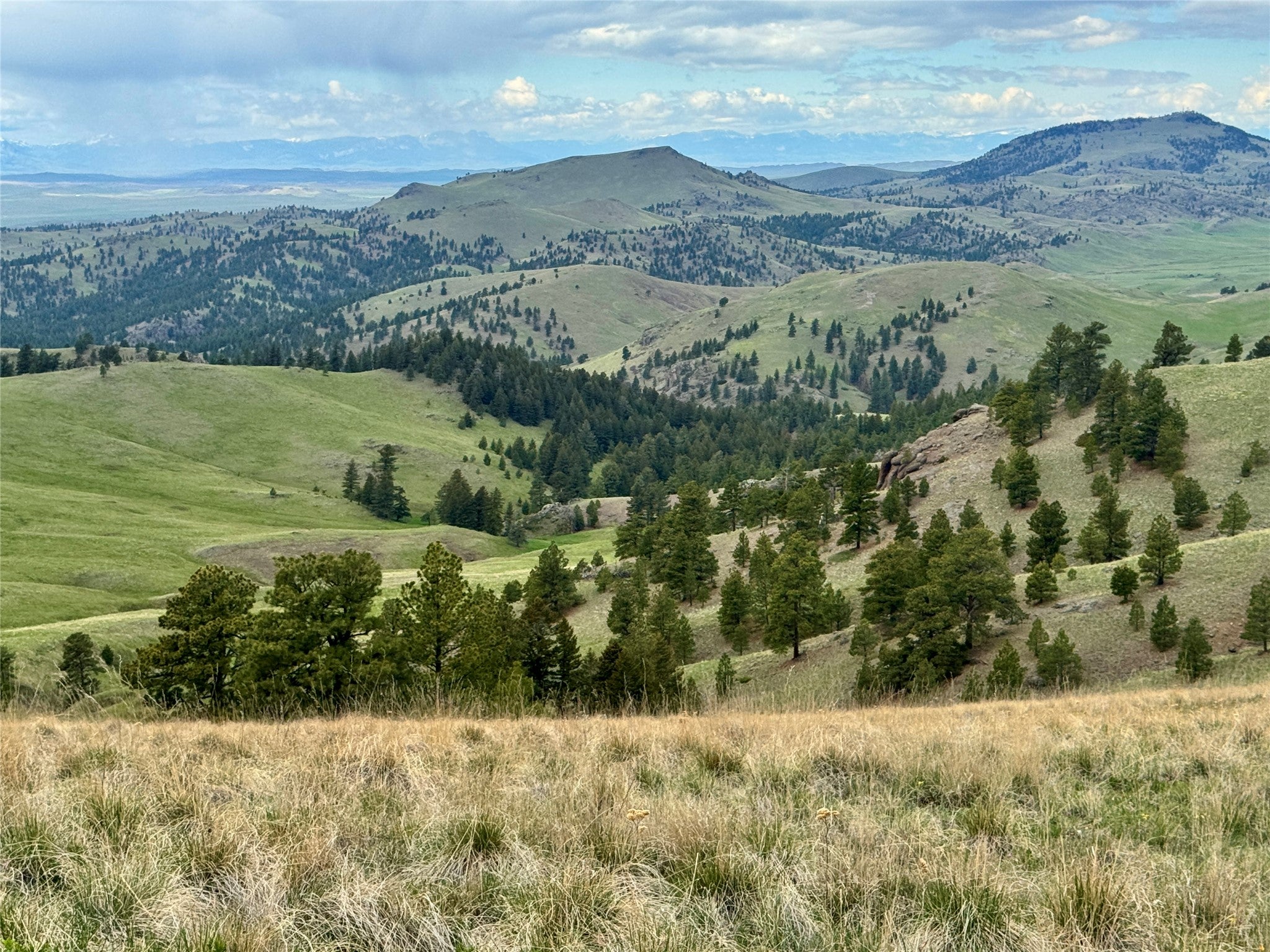 206 Upper Sawmill Loop Cascade, MT 59421 - Photo 28 of 29 Gallery Image 28