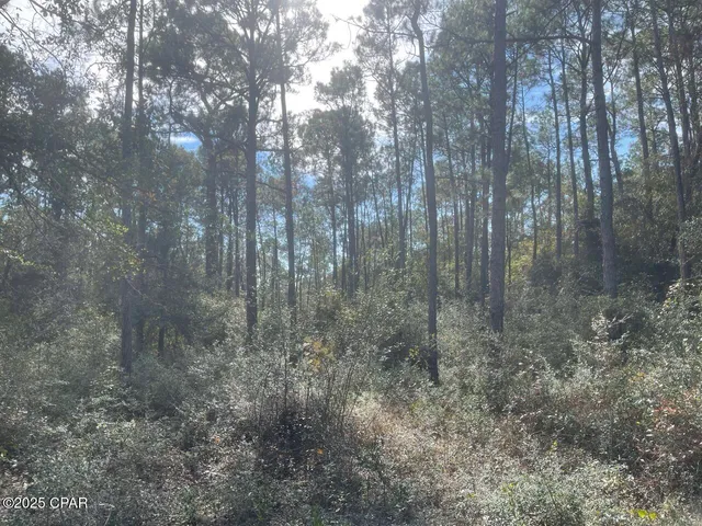 $79,900 | 0 Lavon Road, Milton, FL 32583