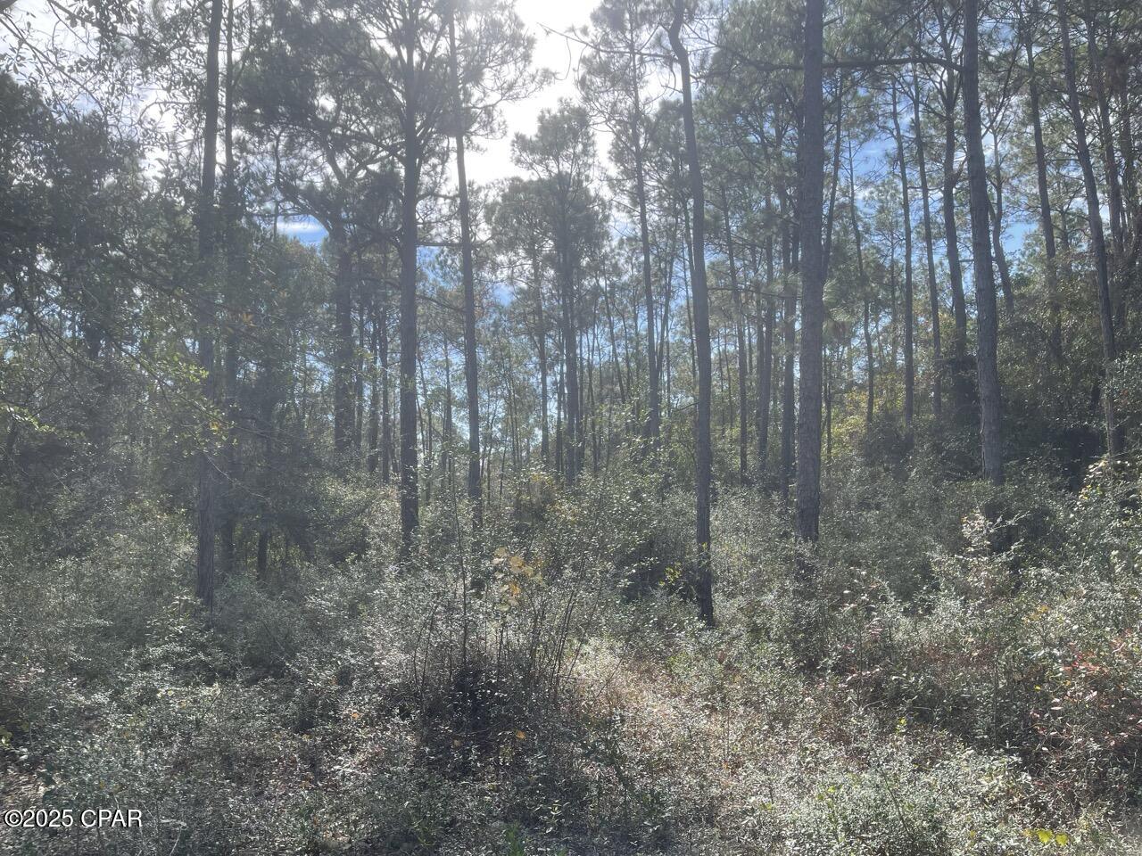 0 Lavon Road Milton, FL 32583 - Photo 11 of 16