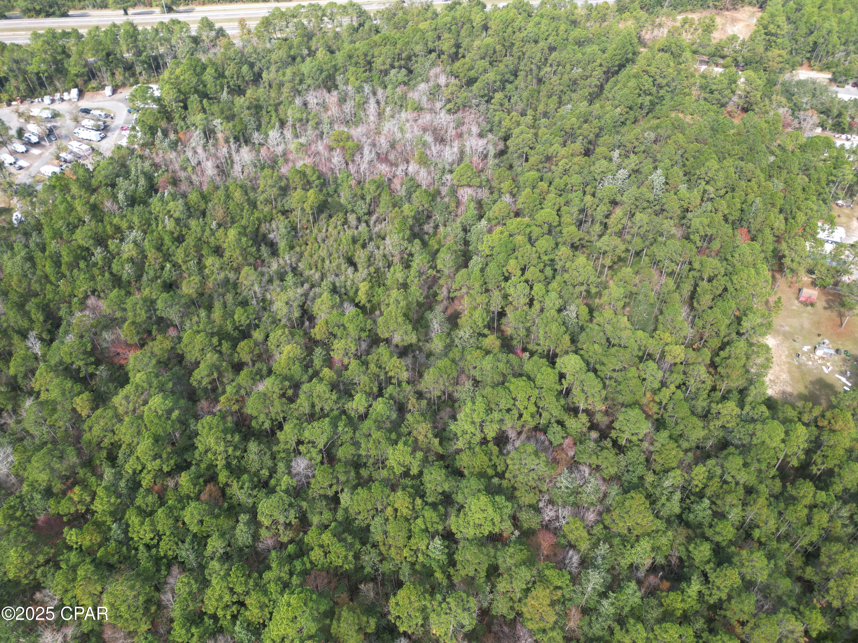 0 Lavon Road Milton, FL 32583 - Photo 2 of 16