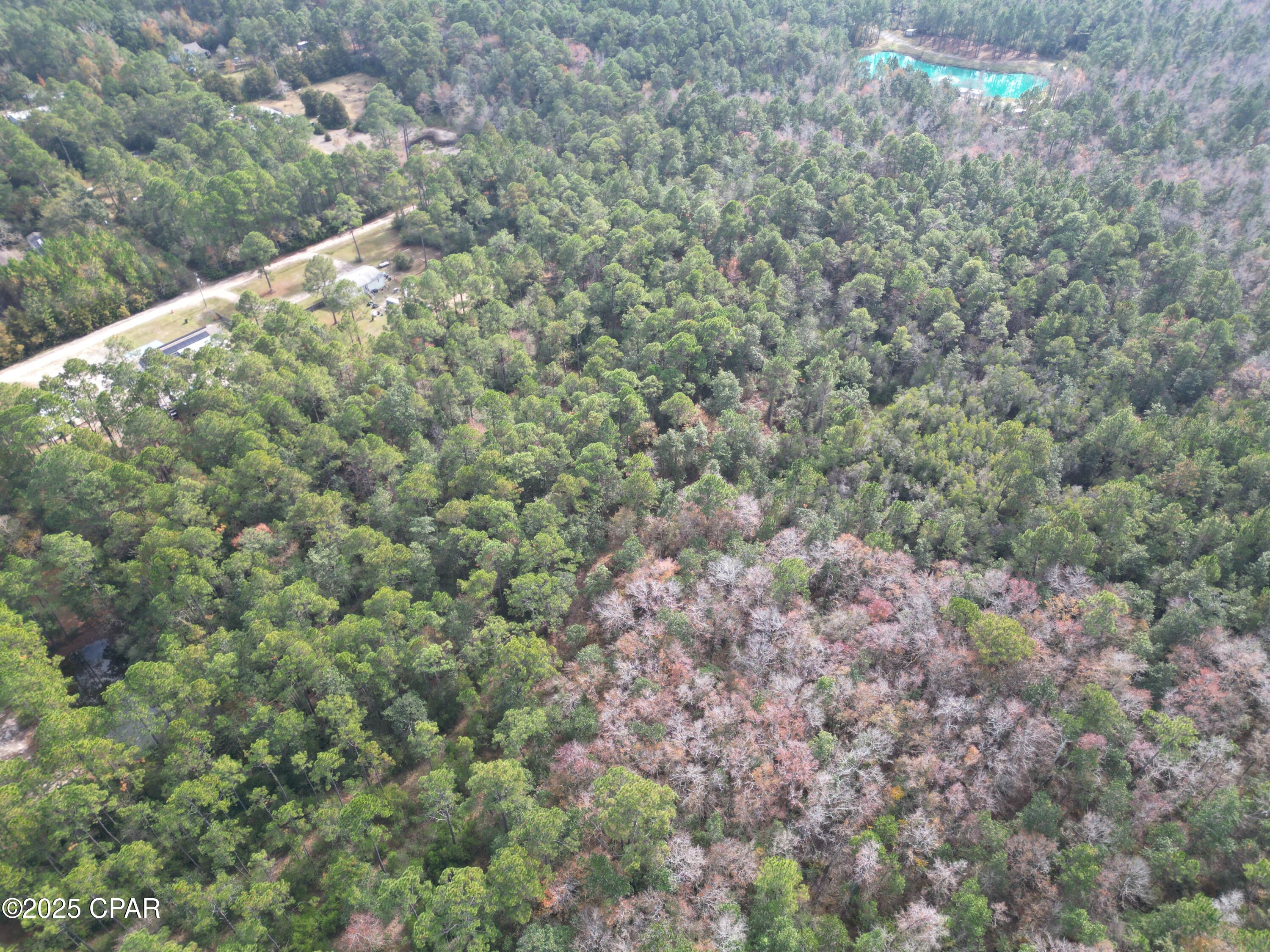 0 Lavon Road Milton, FL 32583 - Photo 4 of 16