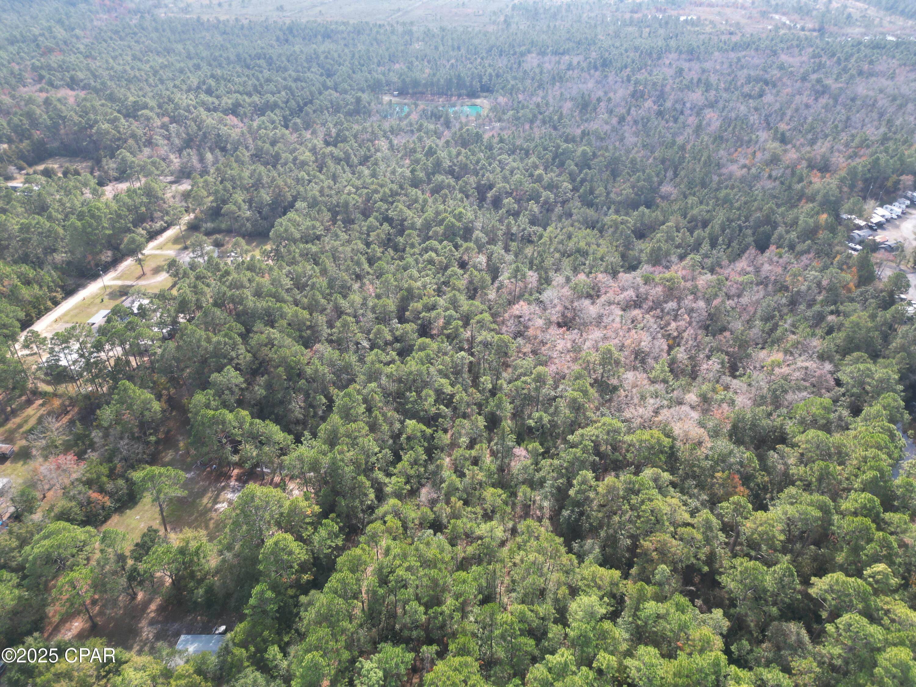 0 Lavon Road Milton, FL 32583 - Photo 5 of 16