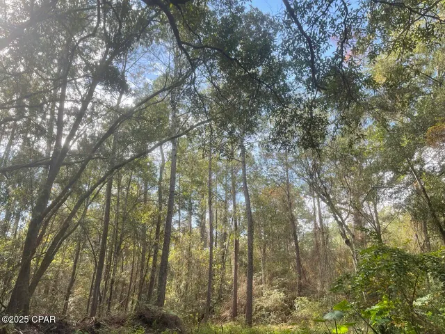 $79,900 | 0 Lavon Road, Milton, FL 32583