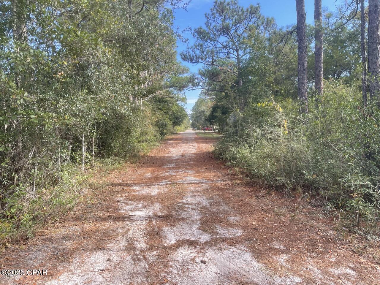 0 Lavon Road Milton, FL 32583 - Photo 8 of 16