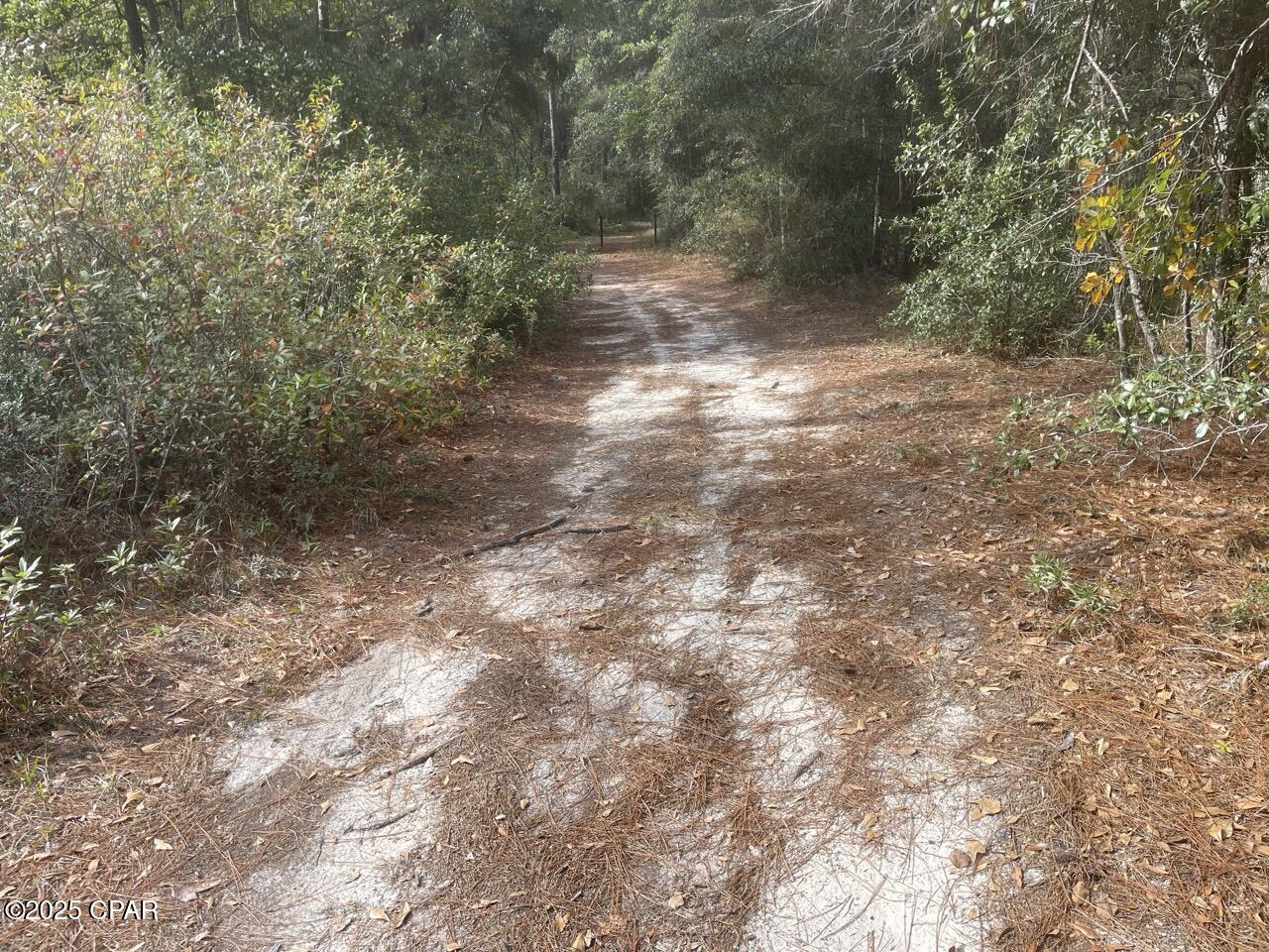 0 Lavon Road Milton, FL 32583 - Photo 9 of 16