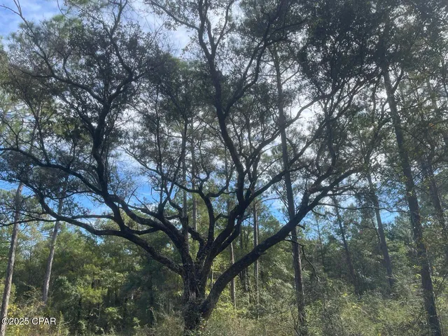 $79,900 | 0 Lavon Road, Milton, FL 32583