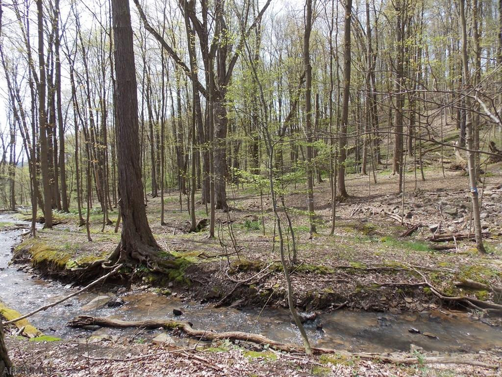 . Weldon Lane Tyrone, PA 16686 - Photo 5 of 6 Gallery Image 5