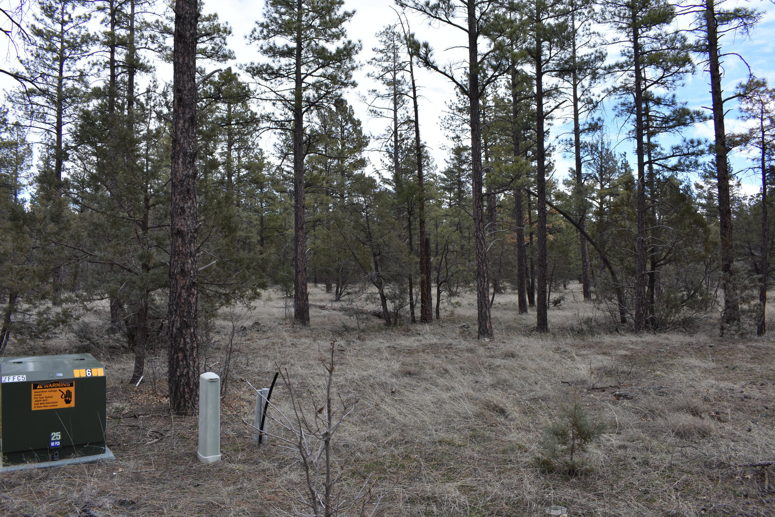 207 B Jacks Road Lakeside, AZ 85929 - Photo 3 of 5