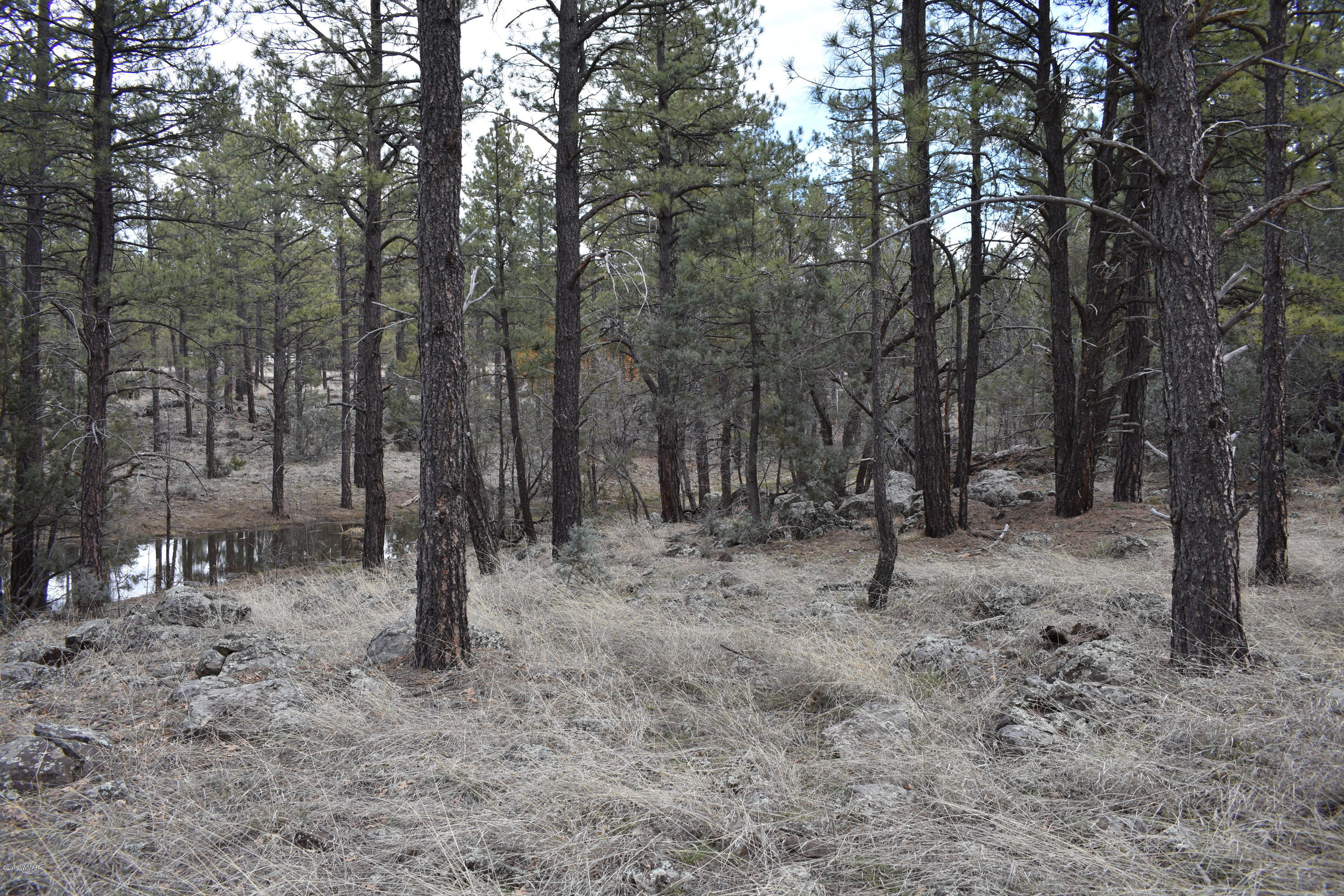 207 B Jacks Road Lakeside, AZ 85929 - Photo 5 of 5
