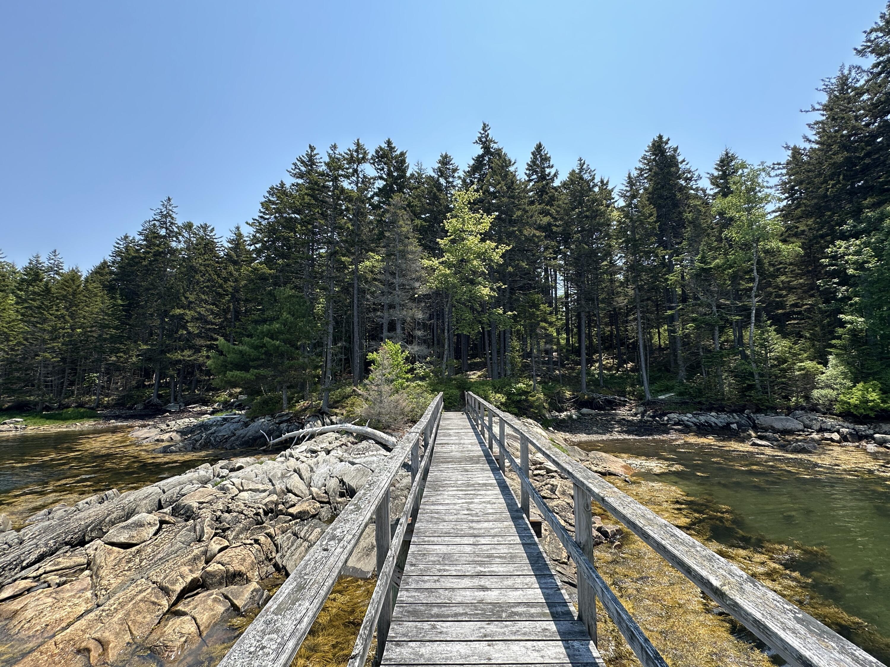 Lot 5 Waymouth Road Tenants Harbor, ME 04860 - Photo 20 of 56 Shared Dock