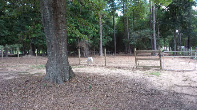 1625 Highway 31 Atmore, AL 36502 - Photo 8 of 45