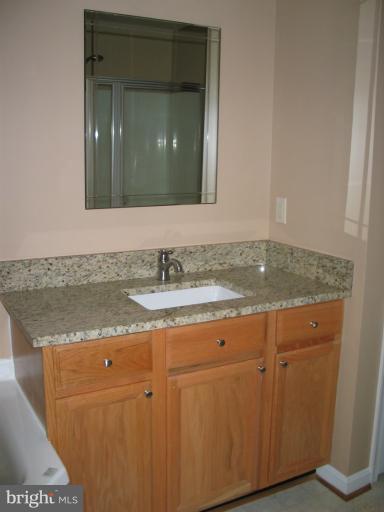 502 Southview Drive Riva, MD 21140 - Photo 9 of 30 Bath (Master)
