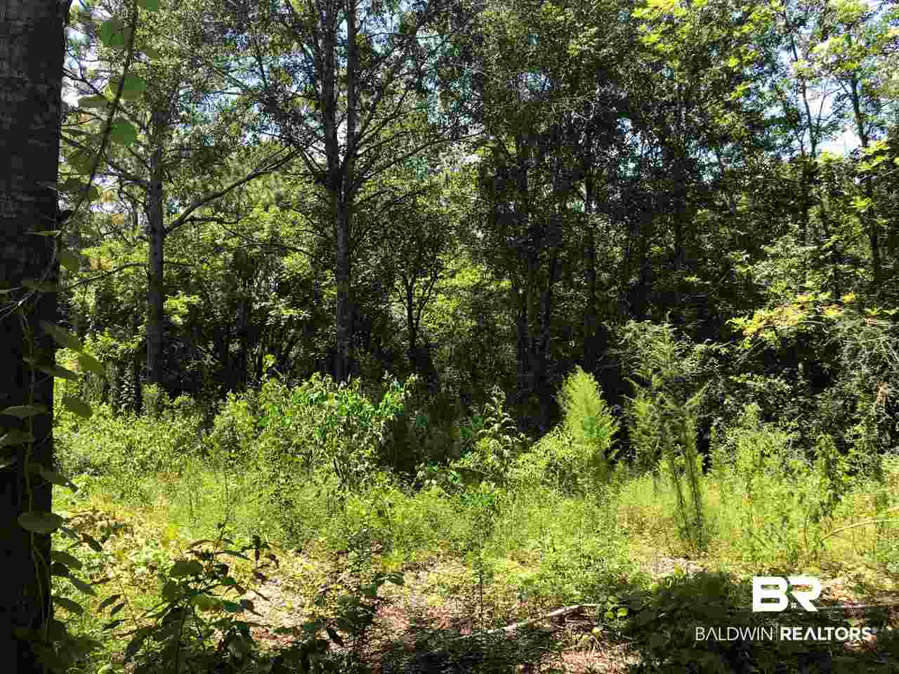 Lot 2 Woodland Avenue Foley, AL 36535 - Photo 11 of 26