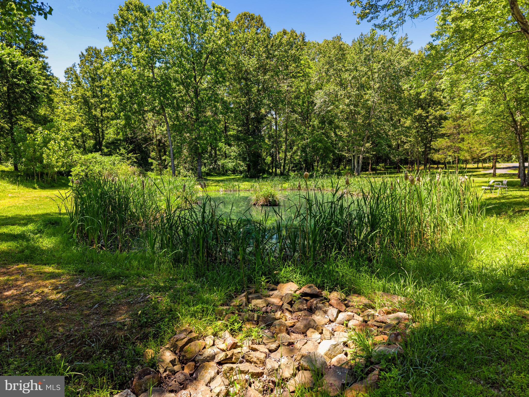 10409 Lees Mill Road Warrenton, VA 20186 - Photo 55 of 57