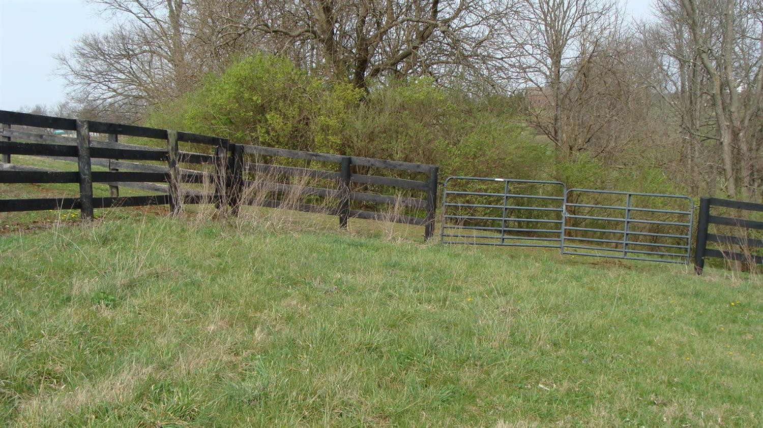 1630 Fishers Mill Road Midway, KY 40347 - Photo 24 of 63 Photo 24
