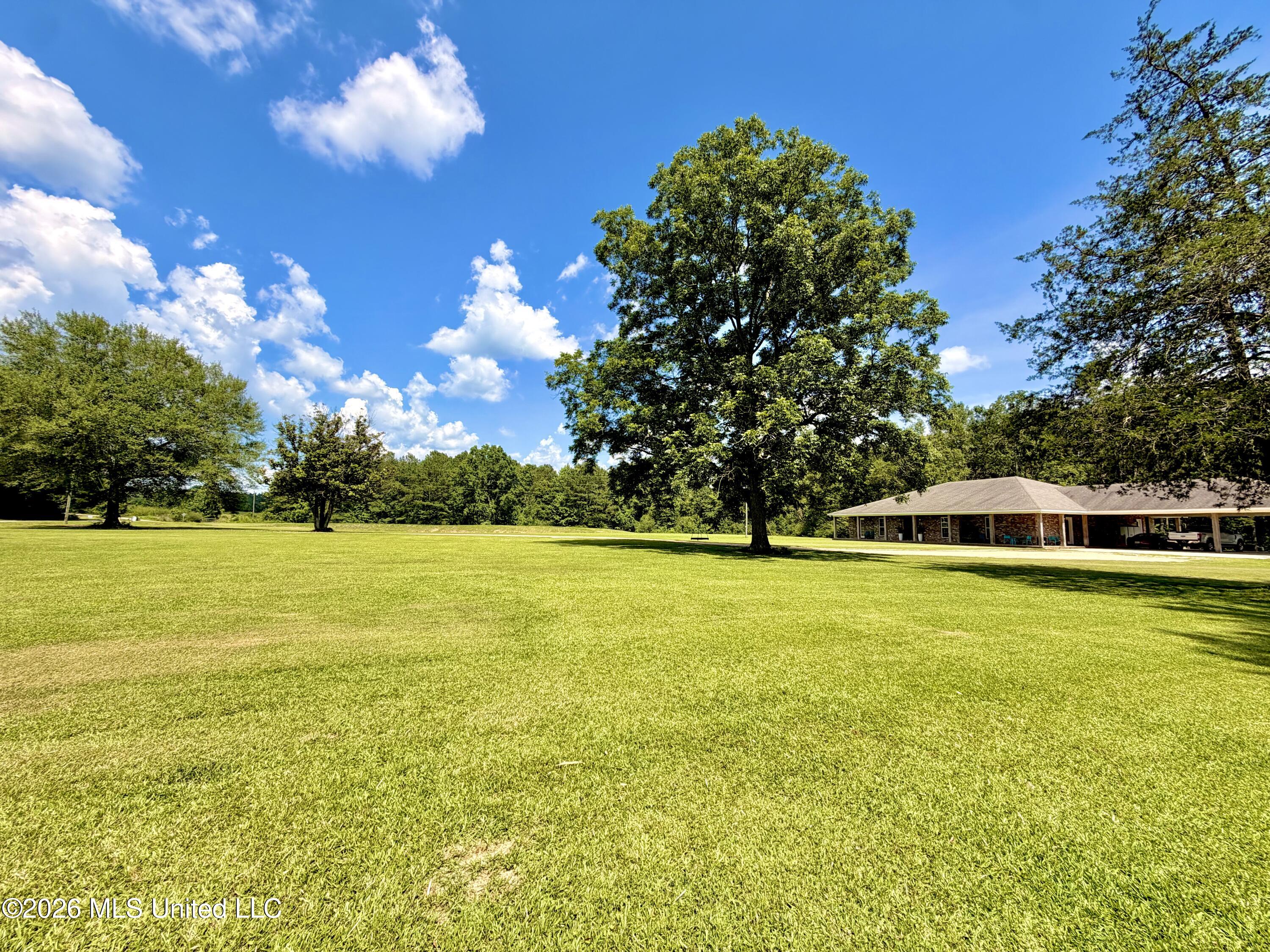 464 Goss Bunker Hill Road Columbia, MS 39429 - Photo 8 of 32 JuneFrontBambooSide2