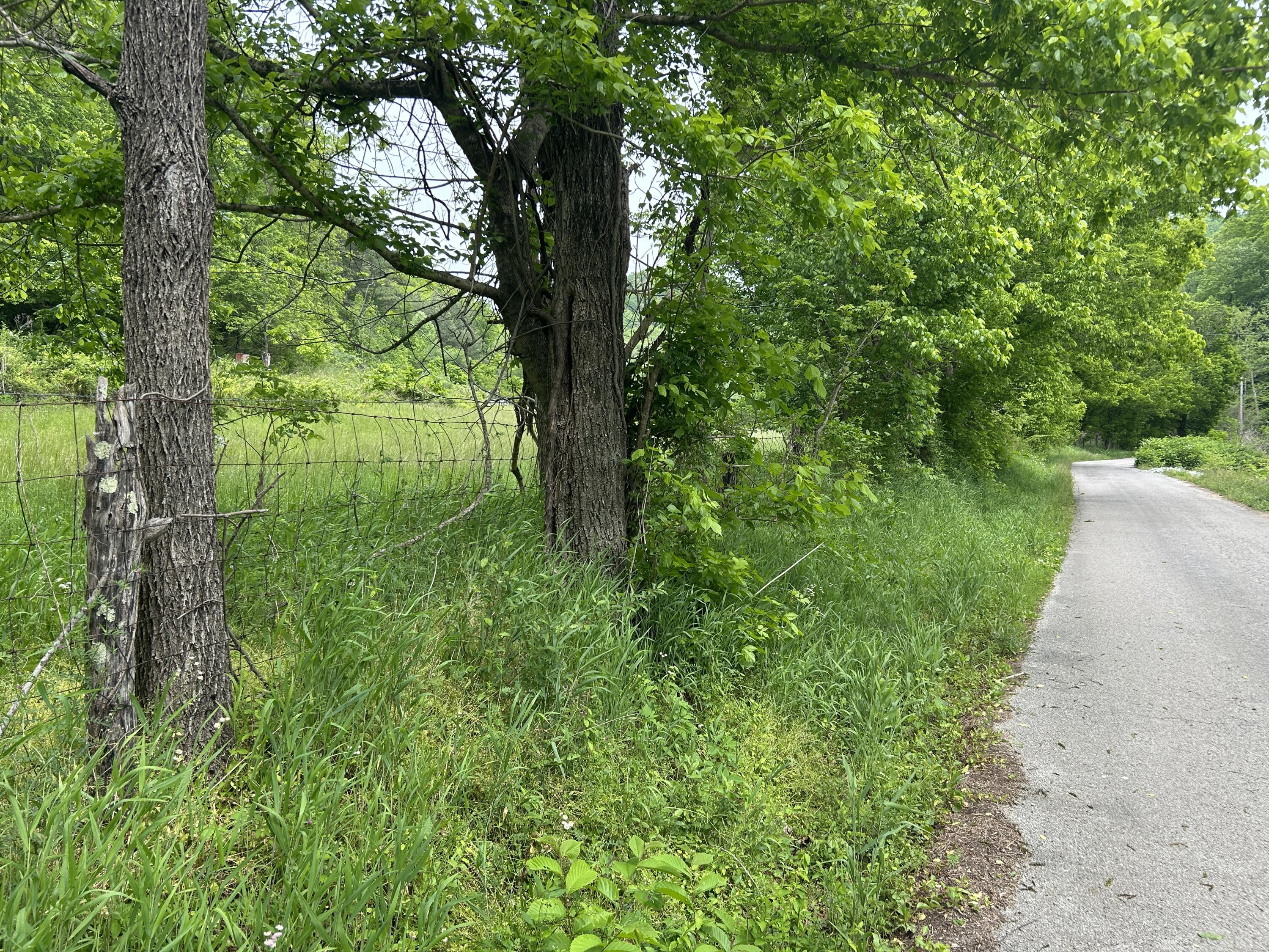 0 Jacks Creek Road Oneida, KY 40972 - Photo 2 of 7 (Upload-from-mobile-1778091116)IMG_5633